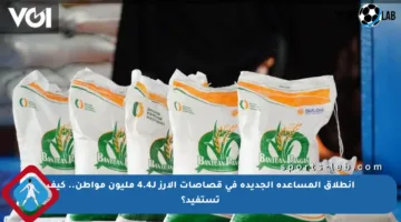 انطلاق المساعدة الجديدة في قصاصات الأرز لـ4.4 مليون مواطن.. كيف تستفيد؟